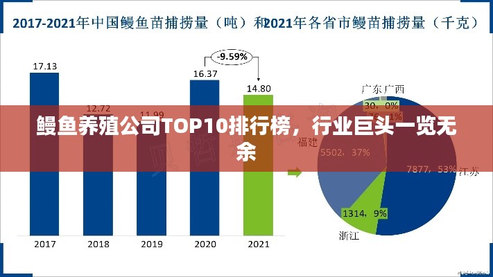 鳗鱼养殖公司TOP10排行榜，行业巨头一览无余