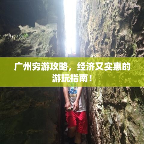 花香鸟语