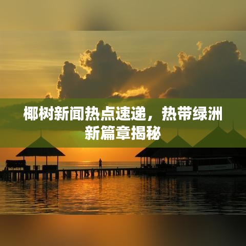 椰树新闻热点速递，热带绿洲新篇章揭秘