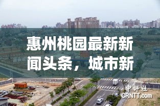 引锥刺股