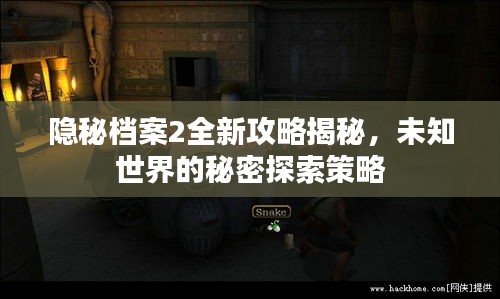 隐秘档案2全新攻略揭秘，未知世界的秘密探索策略