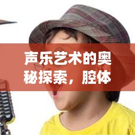 穷鸟入怀