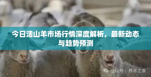 竭尽全力