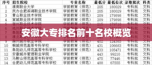 无冬无夏