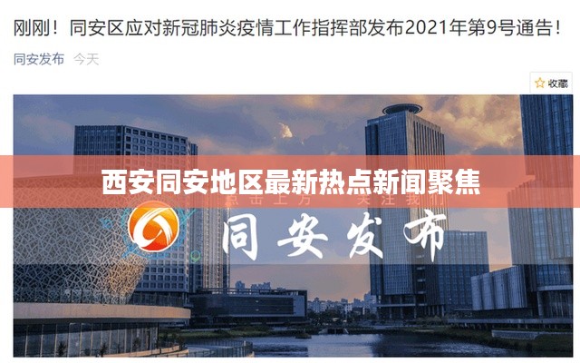 窗明几净
