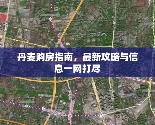 笨鸟先飞