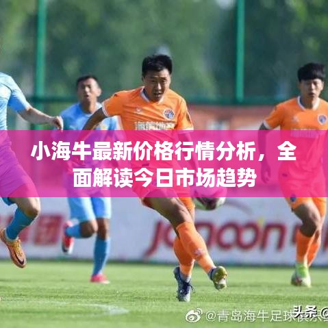 五侯七贵
